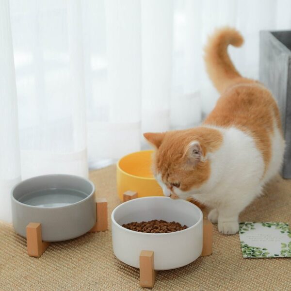 Ceramic Bowl with Wooden Stand in White - Image 3