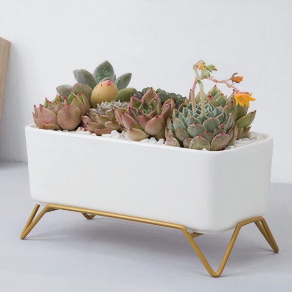 Message in a Planter - 7" Supported - Image 5
