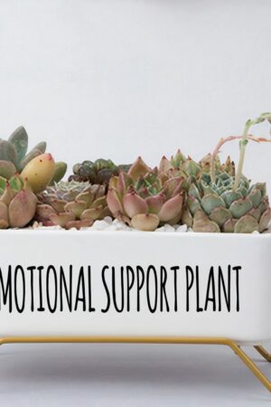 Message in a Planter - 7" Supported