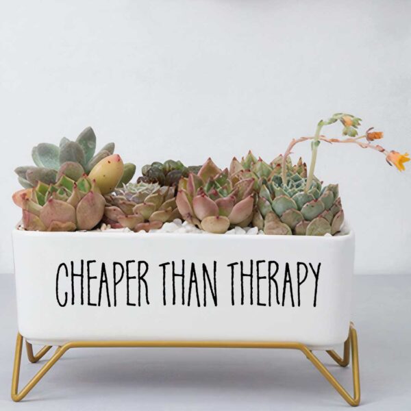 Message in a Planter - 7" Supported - Image 3