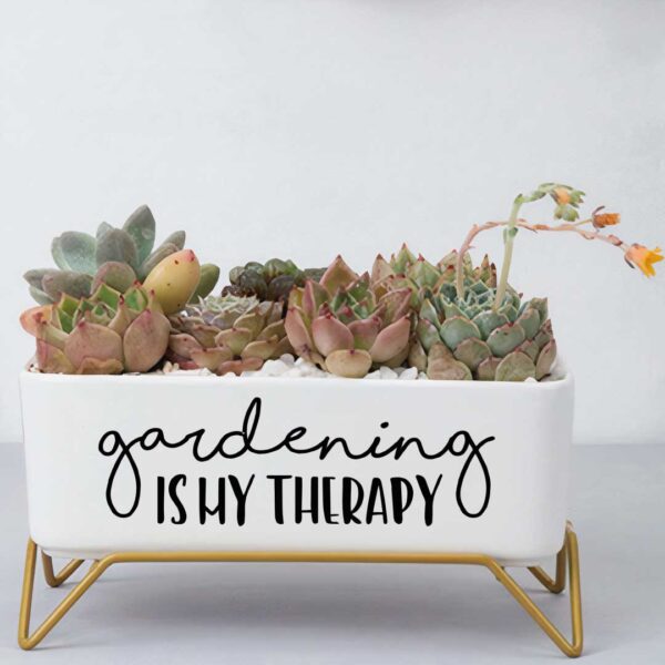 Message in a Planter - 7" Supported - Image 2